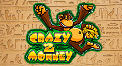 Crazy Monkey 2
